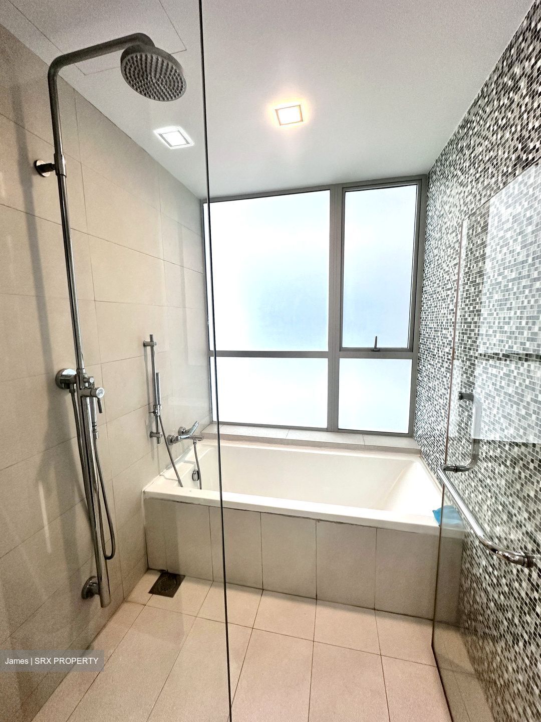 The Rochester Residences (D5), Apartment #457566251
